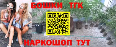 шишки Можга