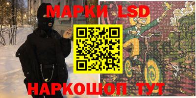 шишки Можга