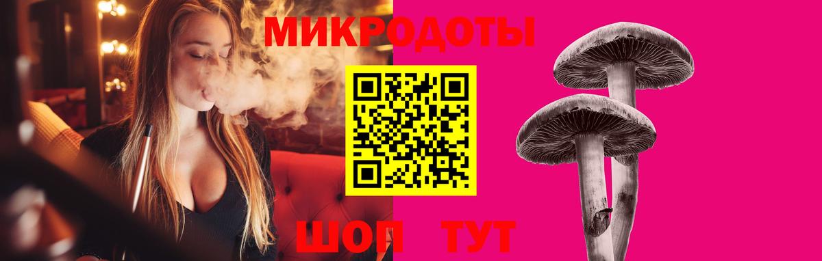 Галлюциногенные грибы прущие грибы Великий Устюг